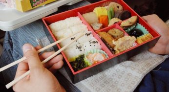 Những hộp cơm Bento đẹp không nỡ ăn ở Nhật Bản !