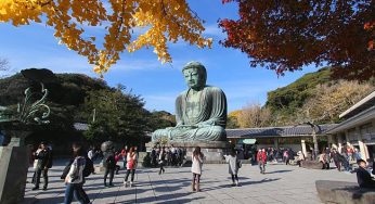 Những Bức Ảnh Tuyệt Đẹp Mùa Lá Đỏ 2016 ” Kamakura cuối thu “