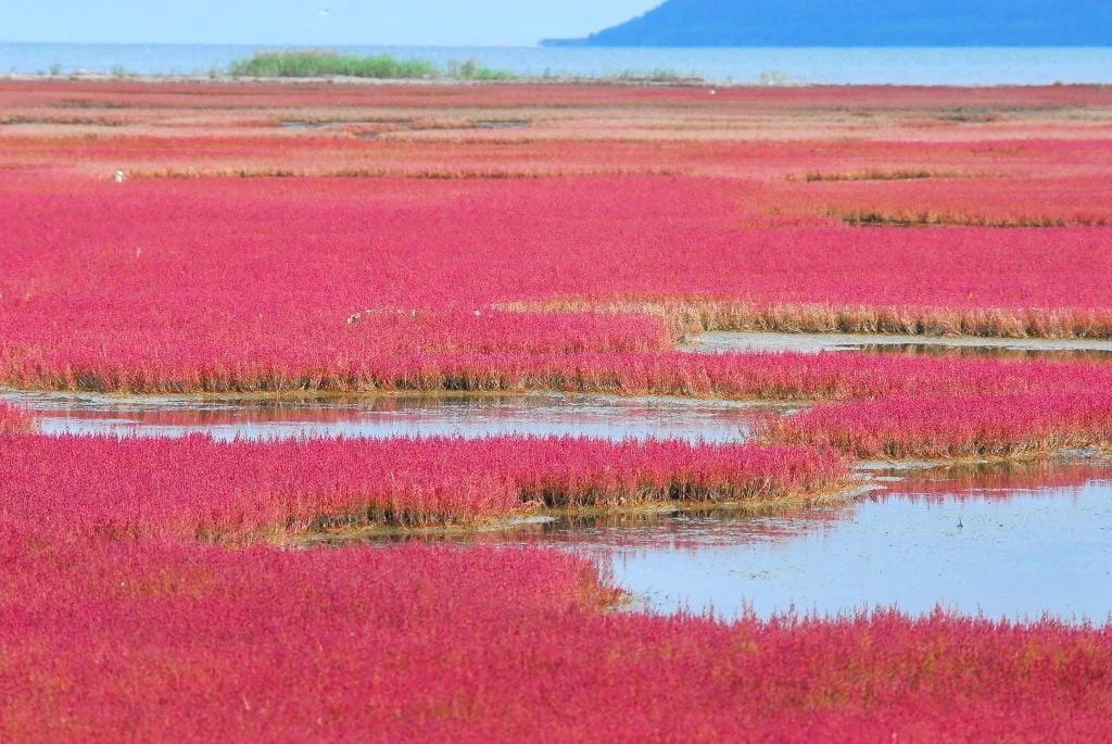 20 điểm tham quan tuyệt diệu ở Hokkaido bạn nên đến