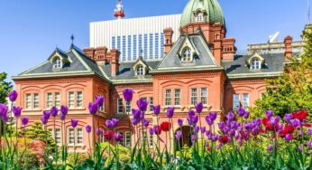 [Lavender] Tour Hokkaido Nhật Bản 6N5Đ | Hà Nội bay Japan Airlines