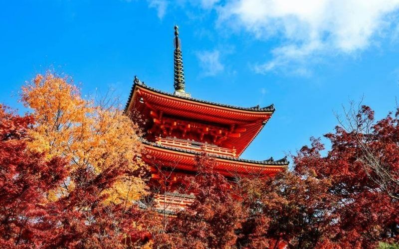 Kiyomizudera - Trải nghiệm ngôi đền cổ được bao phủ bởi những chiếc lá đỏ ngoạn mục ở Kyoto