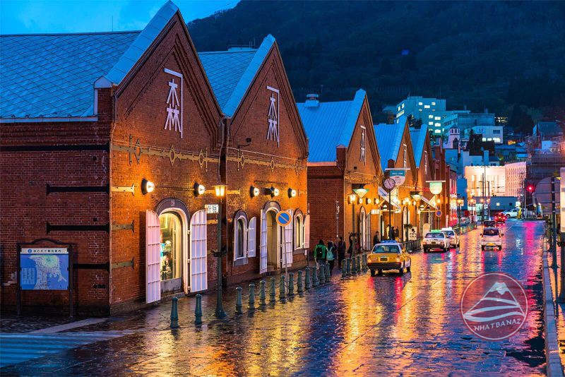 Hùng vĩ cuộc sống ở Hokkaido Nhật Bản