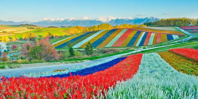 Vận chuyển hàng hoá Việt Nam Hokkaido uy tín chất lượng