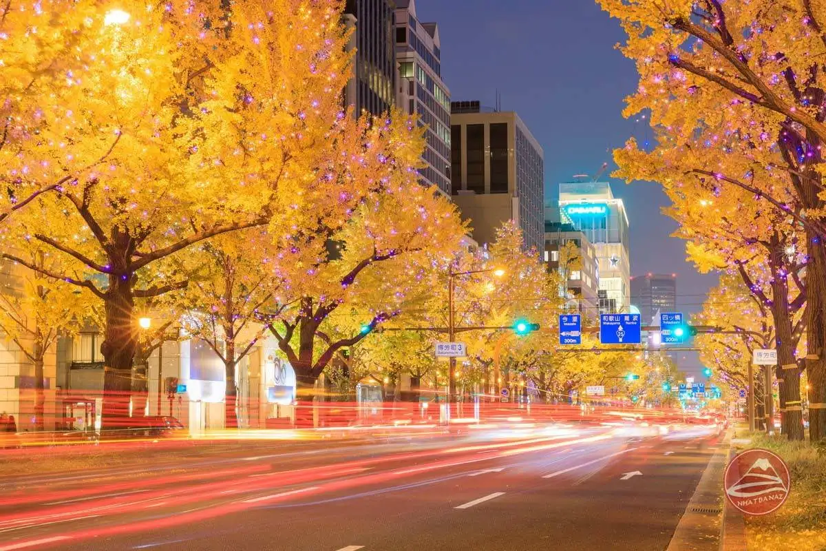 Sắc thu vào mùa lá đỏ ở Osaka