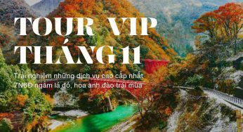 Tour Nhật cao cấp *VIP mùa thu 7 ngày 6 đêm, ngắm lá đỏ + hoa anh đào, từ Hà Nội bay VNA 54.9 triệu