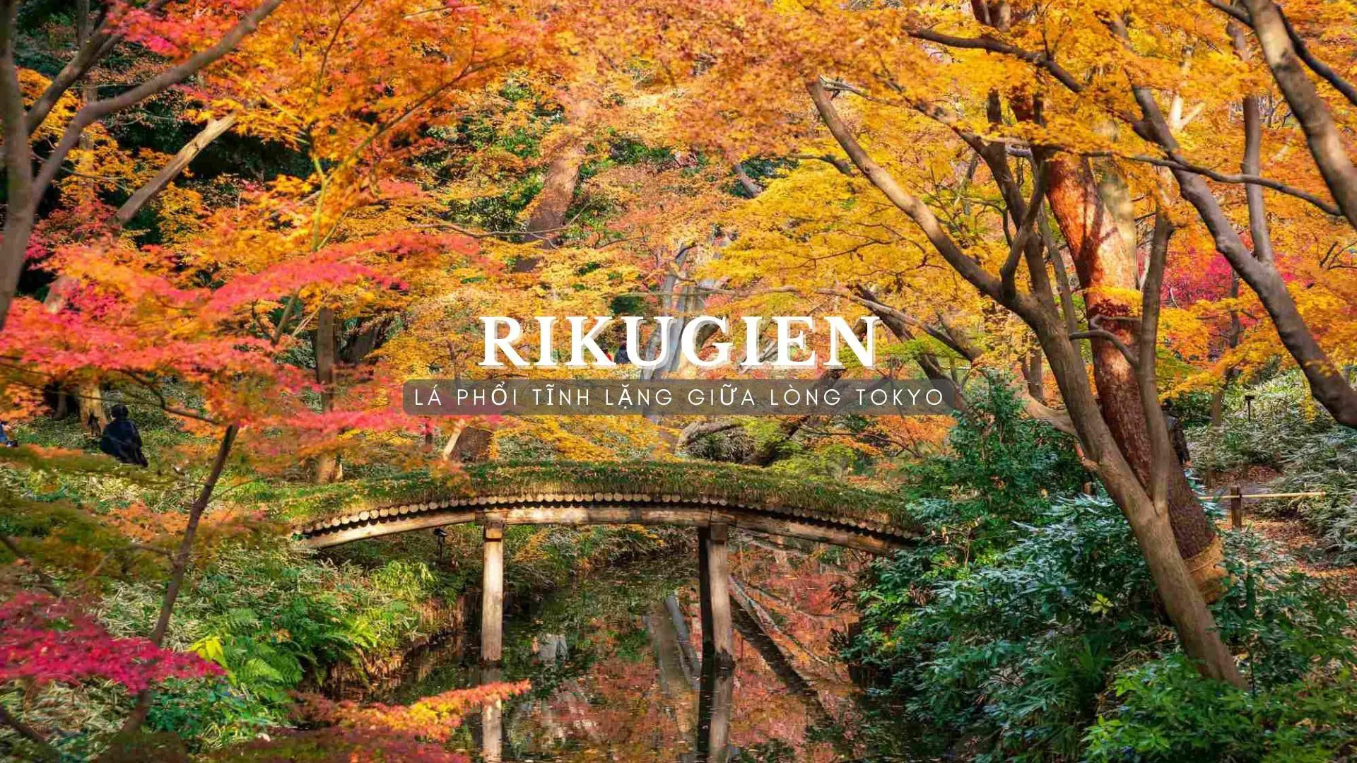 Rikugien: Khám Phá Khu Vườn Nhật Bản Cổ Điển Giữa Lòng Tokyo