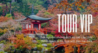 Tour Nhật cao cấp *VIP mùa thu 7 ngày 6 đêm, ngắm lá đỏ + hoa anh đào, từ tp HCM bay VNA 54.9 triệu