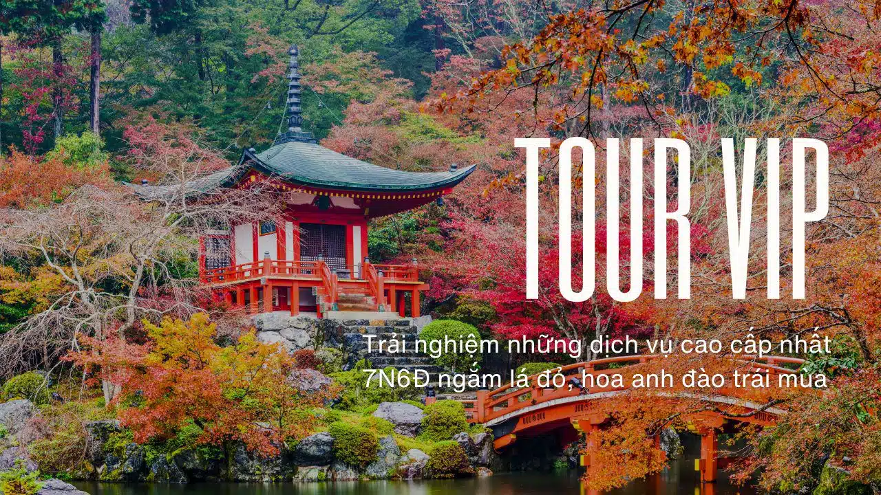 Tour Nhật cao cấp *VIP mùa thu 7 ngày 6 đêm, ngắm lá đỏ + hoa anh đào, từ tp HCM bay VNA 54.9 triệu