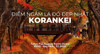 Tour CĐV Tokyo-Osaka mùa lá đỏ 6N5Đ | HCM bay VNA