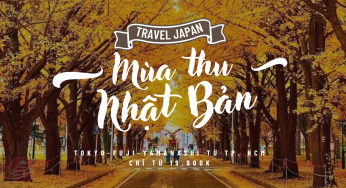 Tour Nhật mùa thu 5 ngày 4 đêm giá rẻ, trọn gói Tokyo-Fuji-Yamanashi từ Tp. HCM bay VN từ 19.9 triệu