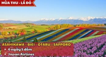 [Mùa Lá Đỏ] Tour Hokkaido Nhật Bản 6N5Đ | Hà Nội bay Japan Airlines