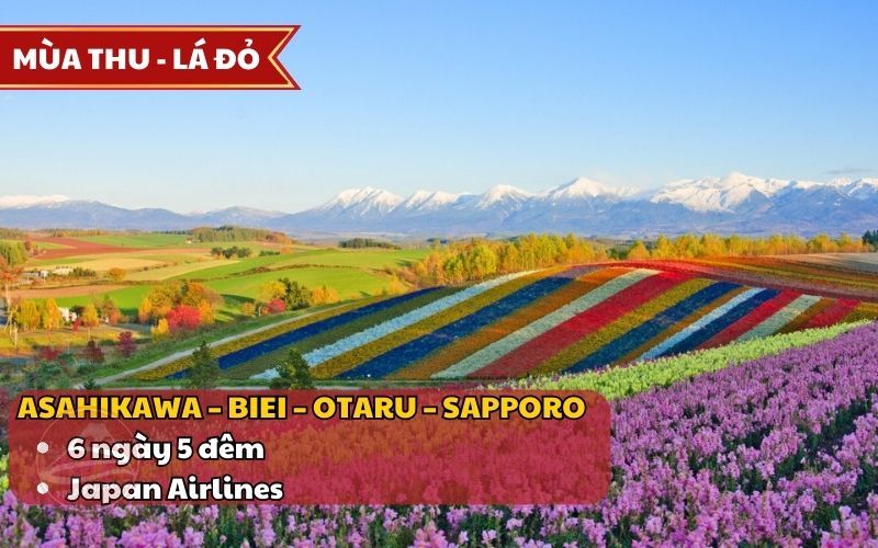 Tour Hokkaido mùa lá đỏ 6n5đ từ Hà Nội bay Japan Airlines