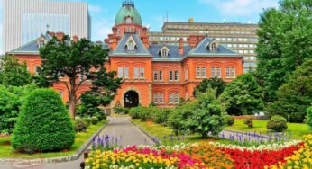 Tour du lịch Hokkaido từ 33.9 triệu, khám phá cung đường mới lạ Nhật bản