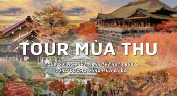 Tour du lịch Nhật Bản tháng 12 6N5Đ – Cung đường vàng mùa lá đỏ