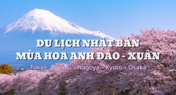 [Hoa Anh Đào] Tour Nhật Bản 6N5Đ Tokyo-Osaka | HN bay VNA