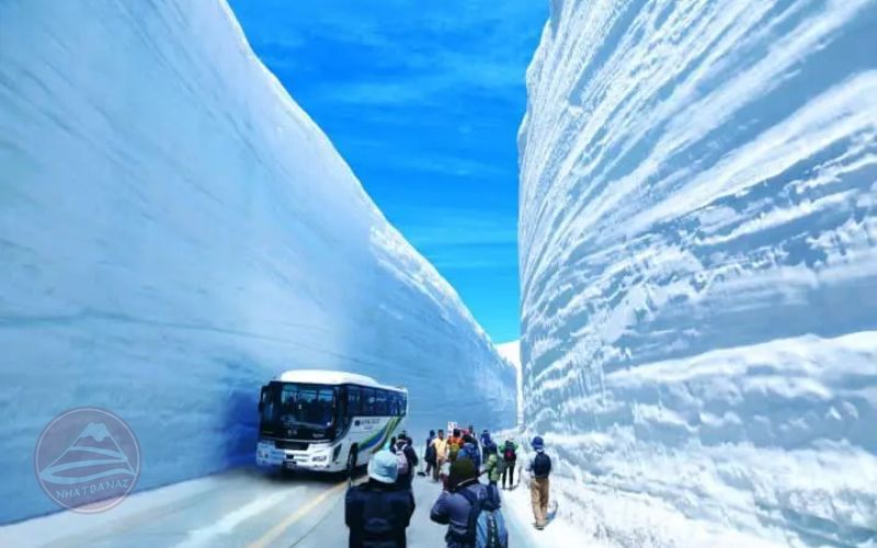 Bức tường tuyết tại tuyến đường Tateyama Kurobe Alpine