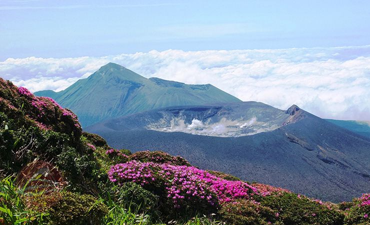 Hòa mình vào cảnh quan tự nhiên tuyệt đẹp và không gian yên bình của Kagoshima