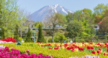 Tottori – Điểm đến lý tưởng cho những người yêu thiên nhiên