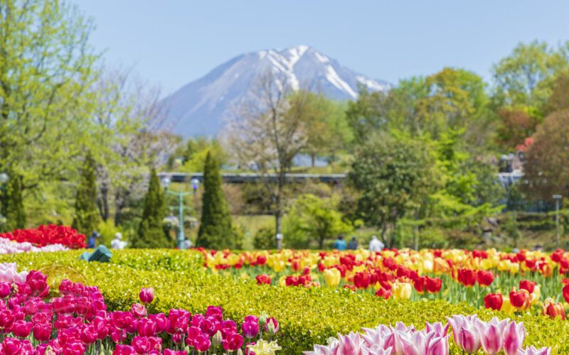 Tottori – Điểm đến lý tưởng cho những người yêu thiên nhiên