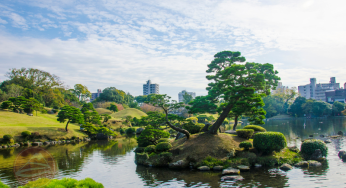 Kumamoto – Bức tranh sống động của vẻ đẹp tự nhiên và văn hóa Nhật Bản