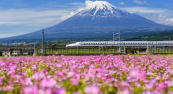 Tour Nhật Bản mùa hè 6N5Đ Tokyo-Osaka | Hà Nội bay VJ