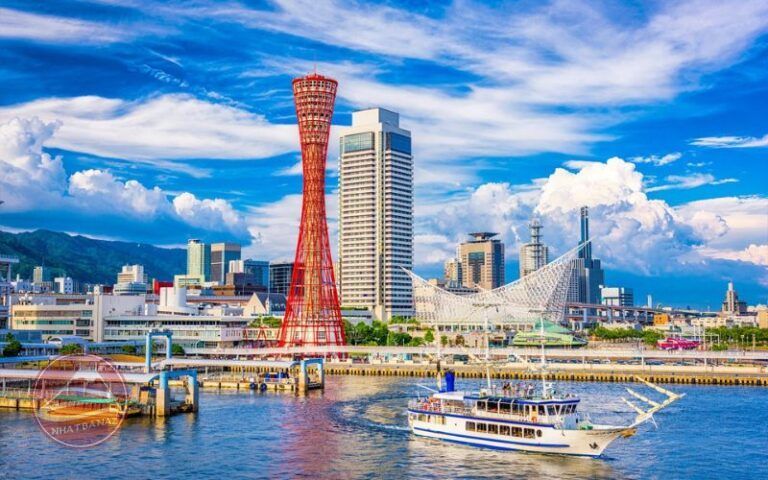 Tour Osaka-Tokyo mùa hoa anh đào 6N5Đ (KIX-NRT) về chiều| HN bay VJ