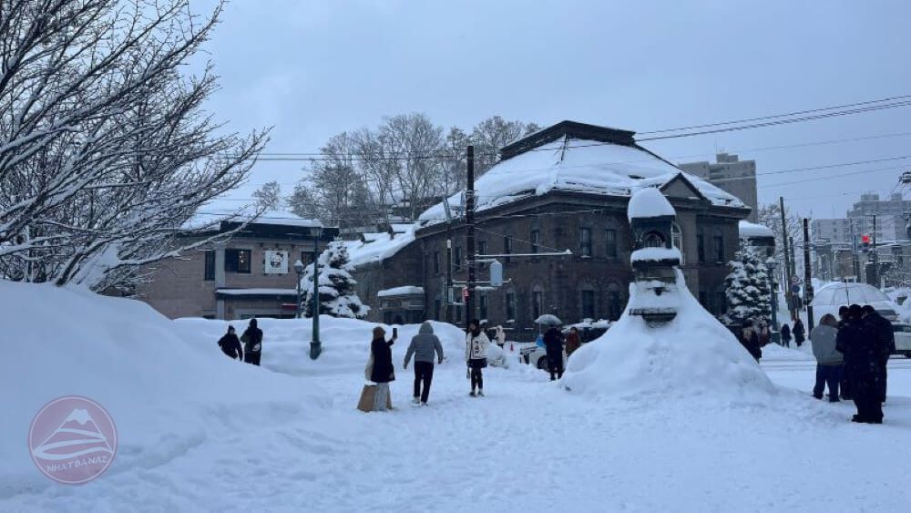 11/01/2024 Thỏa mãn niềm đam mê trượt tuyết tại Hokkaido