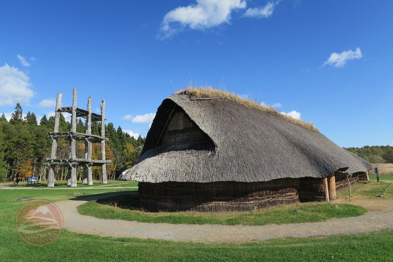 Bảo tàng Jomon Jiyukan: Hành trình bước vào thế giới Jomon