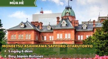 [Mùa Hè] Tour Hokkaido-Tokyo 5N6Đ | TP.HCM bay Japan Airlines