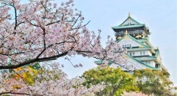 [Hoa Anh Đào] Tour Nhật Bản 5N5Đ Tokyo-Osaka | HCM bay VJ