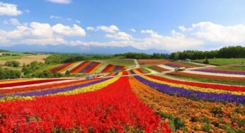 Top 10 những điều cần biết về Hokkaido trước khi lên kế hoạch du lịch