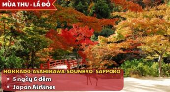 [Mùa Lá Đỏ] Tour Hokkaido Nhật Bản 5N6Đ | TP.HCM bay Japan Airlines