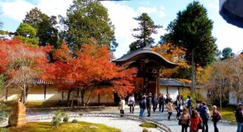 Mùa lá đỏ tại Arashiyama – Kyoto