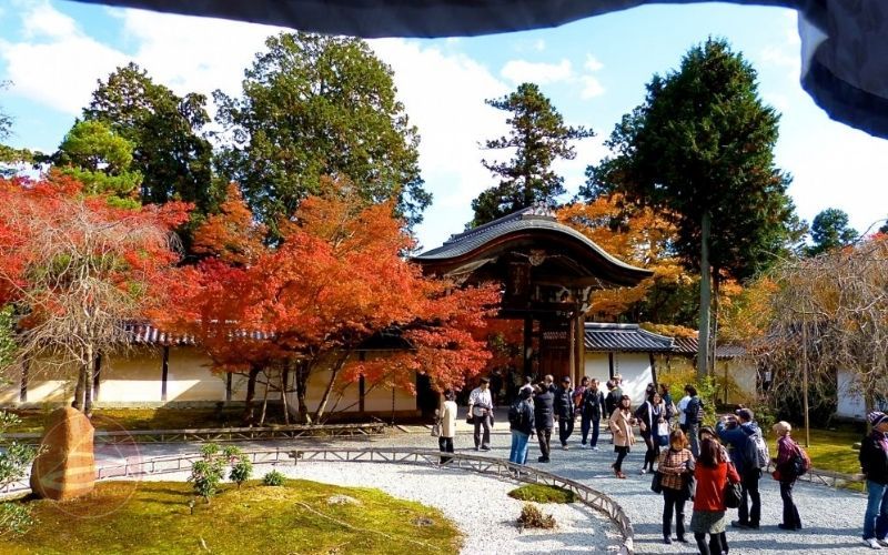 Chùa Nisonin vùng Arashiyama Kyoto mùa thu lá đỏ