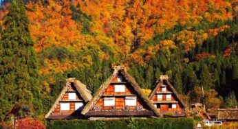 Làng cổ Shirakawago – Ngôi làng cổ tích tại Nhật