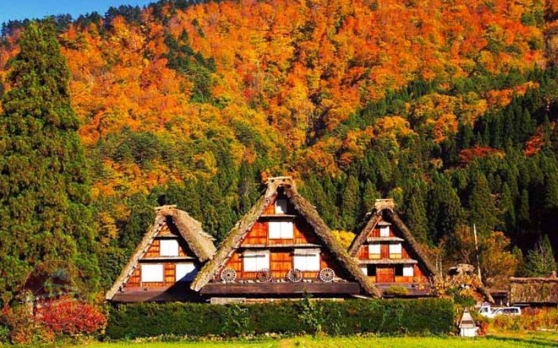 Làng cổ Shirakawago mùa thu rực lửa