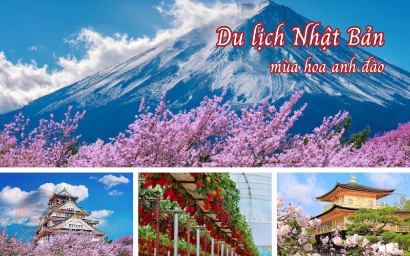 Du lịch Nhật Bản mùa hoa anh đào Tokyo-Osaka 5N5Đ từ TP. HCM bay VNA