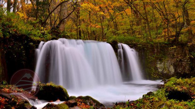 Cẩm nang du lịch Aomori, chốn bồng lai tiên cảnh phía Bắc