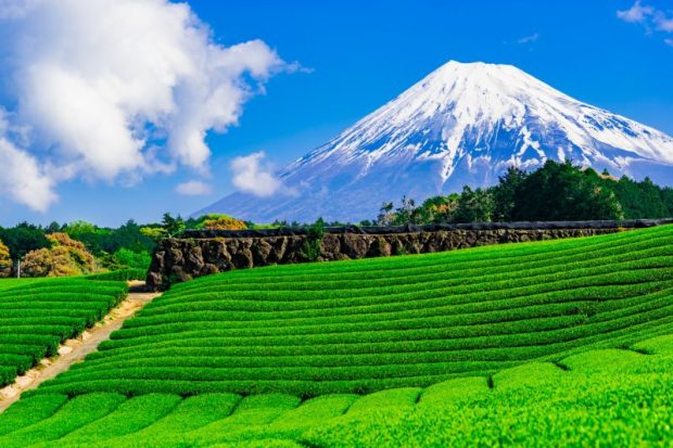 Top 10 cảnh quan ở Shizuoka  Shizuoka  Japan Travel