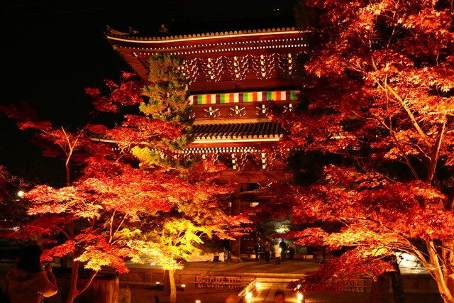 Top 10 ngôi chùa ngắm lá đỏ tuyệt đẹp ở Kyoto