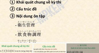 Phỏng vấn nhanh: Một thanh niên Việt Nam đã vượt qua kỳ thi kỹ năng đặc định!