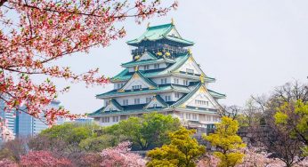 Tour riêng du lịch từ Osaka 3-5 ngày từ 13 triệu/người đi Kyoto, Nara, Kobe