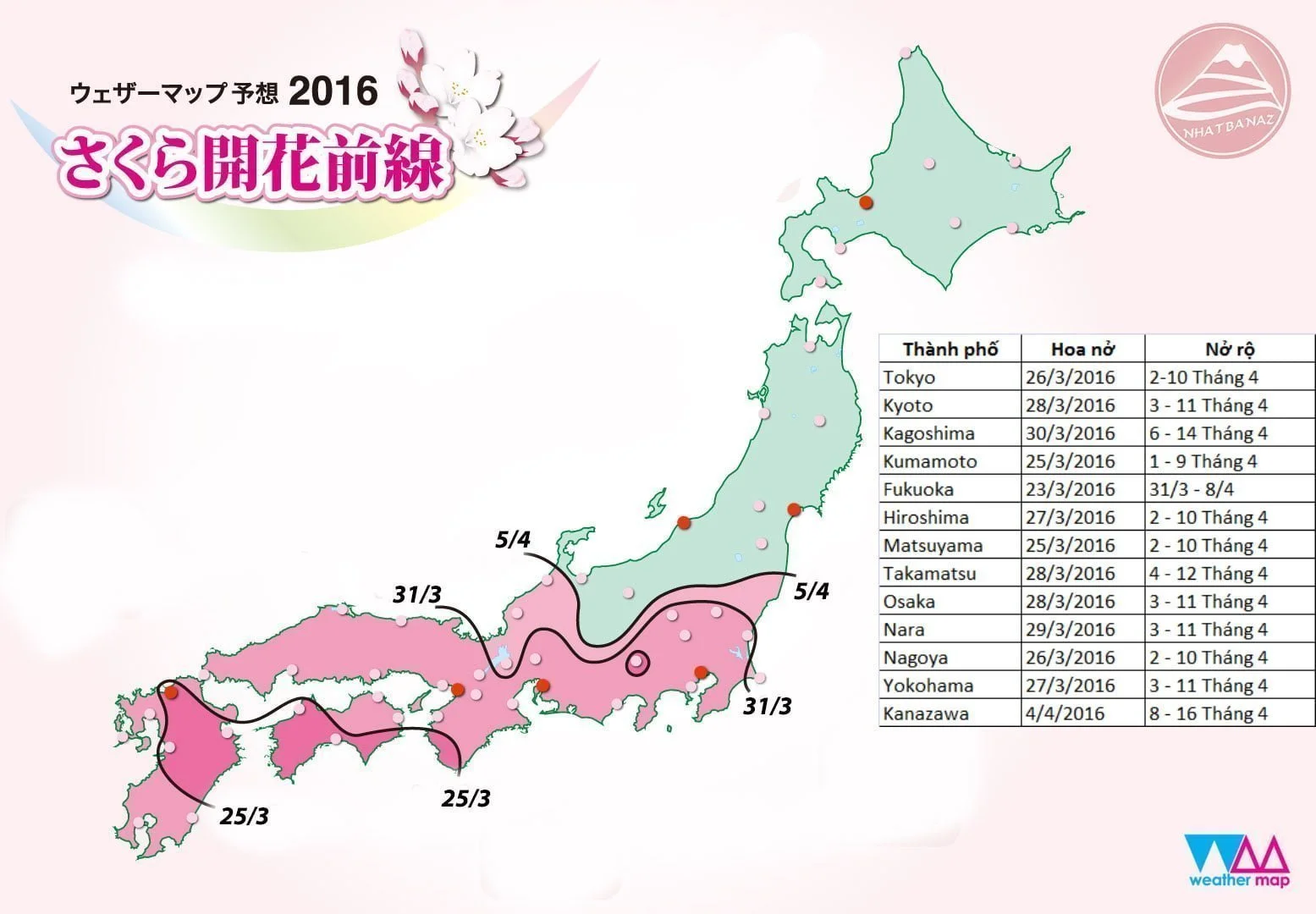 Dự báo lịch Ngắm hoa anh đào Nhật bản 2016