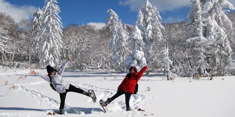 Tour riêng mùa đông Hokkaido – Trải nghiệm trọn vẹn Hokkaido trong 9 ngày