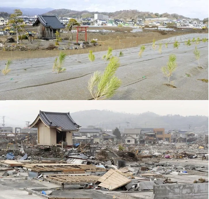 Nhật Bản 5 năm sau thảm họa Fukushima