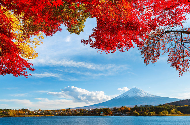 Lịch trình du hí 4 ngày 4 đêm: Tokyo – Yokohama- Núi Phú sĩ- Tokyo