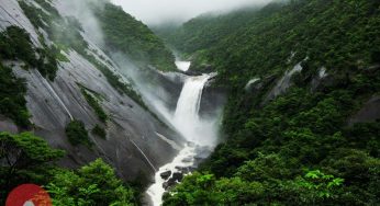 Ốc Cửu Đảo Yakushima