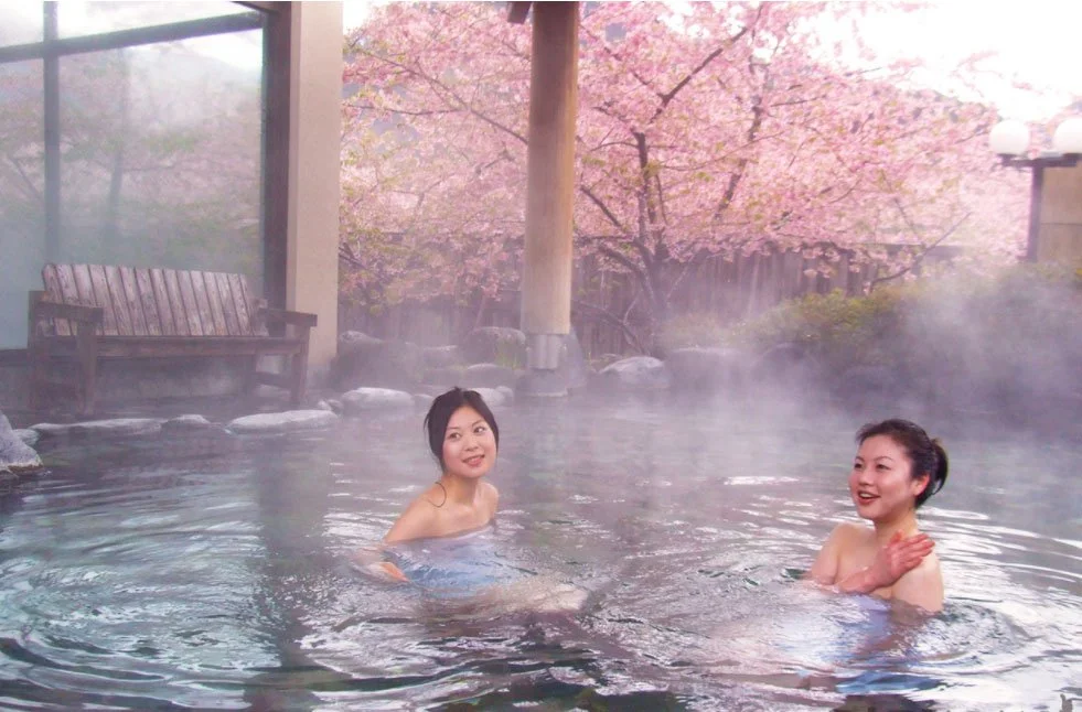 Du xuân tắm onsen và ngắm hoa anh đào nở sớm Kawazu